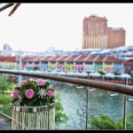 Clement_Hiromi_ROM_003